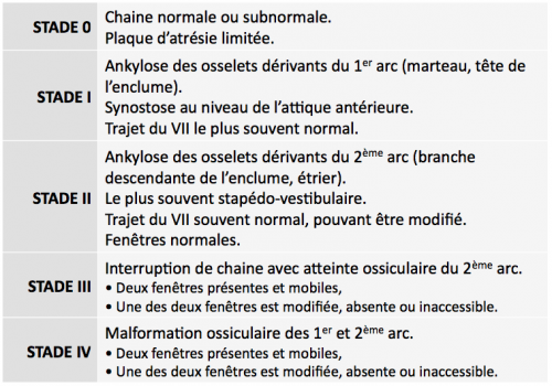 Surdité de transmission congénitale et acquise, classification de charachon, 1989