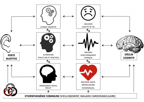 les conséquences de la presbyacousie sur le cerveau, perte auditive liée à l'âge, presbyacousie def