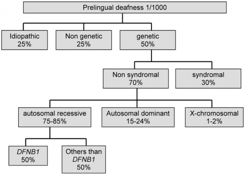 les causes de surdité chez l'enfant